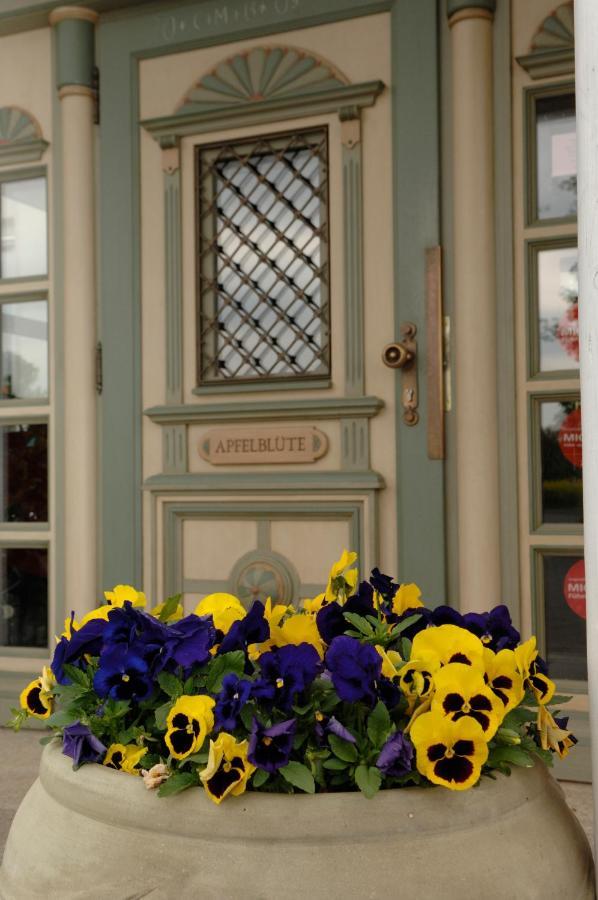 Landgasthof Apfelblüte Hotel Salem (Baden-Wurttemberg)